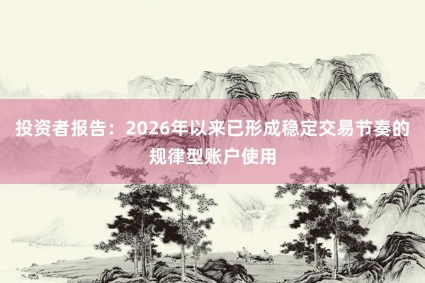 投资者报告：2026年以来已形成稳定交易节奏的规律型账户使用