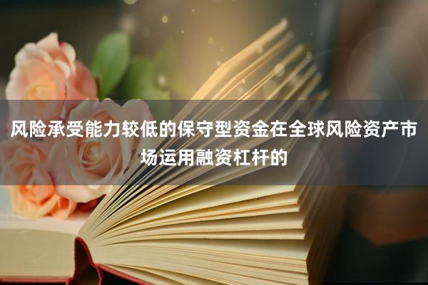 风险承受能力较低的保守型资金在全球风险资产市场运用融资杠杆的