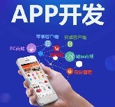 深圳手机APP软件开发_社交电商系统开发定制_小程序开发定制